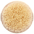 Dry Body Brush, 1 Brush